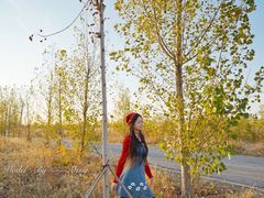 -天津东丽湖风景区