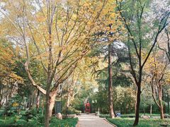 -木塔寺遗址生态公园
