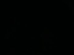 -洛阳宴·洛阳菜(南昌路店)