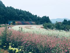-中国香山·寿香谷