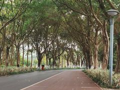 -南宁花花大世界景区