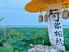 -七的湖·晚芳亭·阳澄湖农家菜·大闸蟹(莲花岛店)