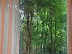 -福建鲤鱼洲酒店