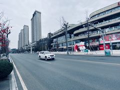 -海棠烟雨公园