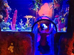 -沈阳海洋探索中心