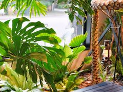 -J Create城市露营咖啡·简餐·宠物(上海动物园店)