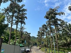 -重庆海昌加勒比海水世界