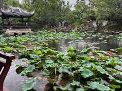-无锡蠡湖国家湿地公园-蠡园