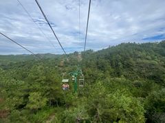 -磬锤峰森林公园