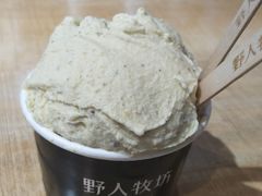 -野人先生现做冰淇淋(西安赛格店)