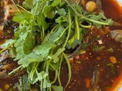 -胖大姐黄辣丁鱼庄(新津店)