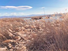 -野鸭湖国家湿地公园