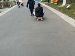 -青枫公园