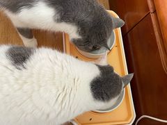 -濱寿司(高新伊藤店)