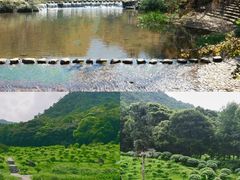 -广州市石门国家森林公园