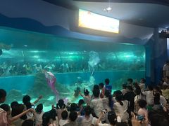 -苏州海洋馆