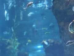 -南昌海洋公园