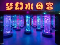 -梦幻海洋王国(吾悦广场张家港店)