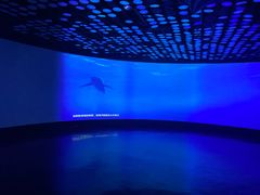 -同济大学四平路校区深海探索馆