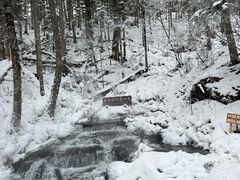 -峡谷浮石林景区
