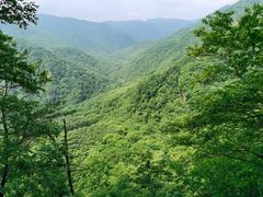 -五女峰国家森林公园