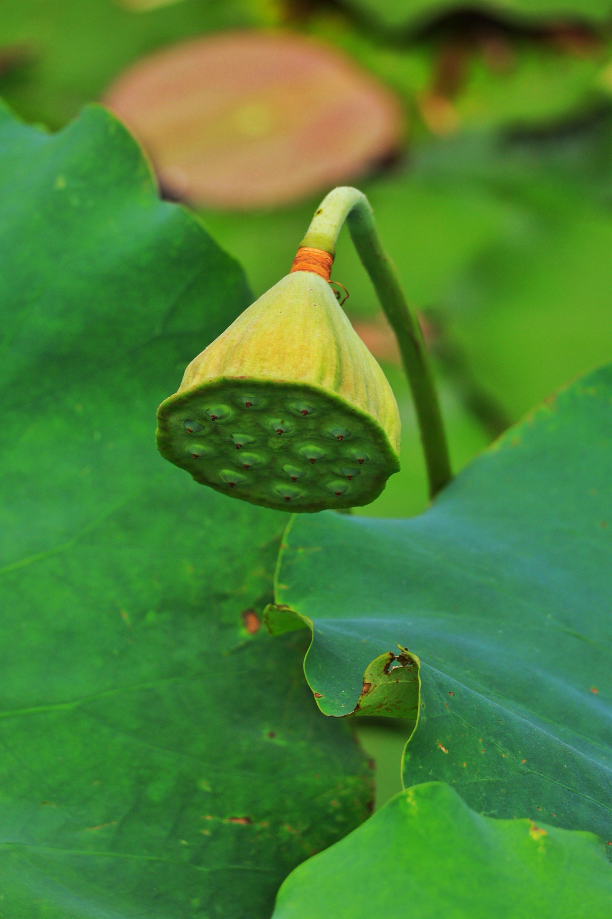 辽宁：够充分够快乐 寒假解锁冰雪酷玩