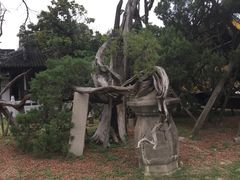 -司徒庙
