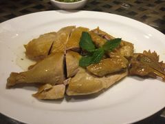 -老广酒楼(樱花店)