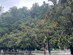 -黔灵山公园