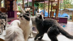 -萌宠亲子动物乐园(槐房万达店)