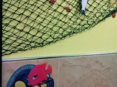 -源霖国际亲子游泳(北仑中心)