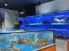 -日进一片海.生腌海鲜火锅.宵夜烧烤(三里屯总店)