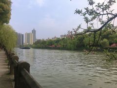 -运河游船(武林门码头)