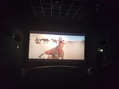 -博纳国际影城IMAX(中央大道店)