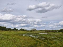 -御道口草原森林风景区