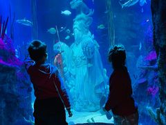 -沈阳海洋探索中心