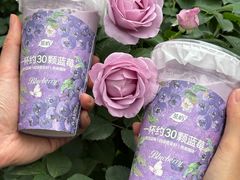 -茶屿水果茶(太古里店)