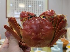 清蒸大闸蟹-蟹村草堂·苏式园林人文农家·大闸蟹