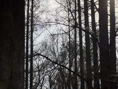 -音乐台