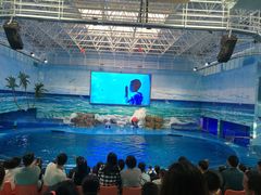 -多彩贵州城极地海洋世界