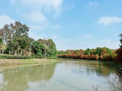 -上海海湾国家森林公园