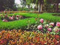 -郑州植物园