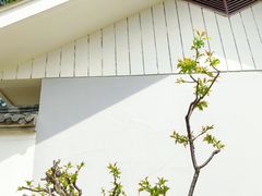 -无锡梅园公园