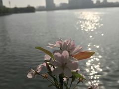 -南昌青山湖风景区