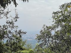 -紫金山山顶公园