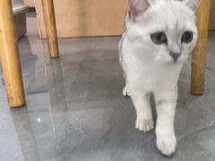 -贝利宠物医院·骨科·眼科·肿瘤转诊中心(南坪诊疗中心)