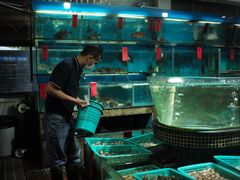 -海大大蒸汽海鲜餐厅·粤菜·特色小炒(欢乐颂店)