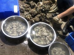 -花苑美食横琴生蚝火锅(拱北粤华路店)