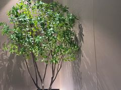 -华夏良子·足道SPA艾灸(王府井店)