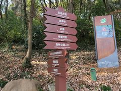 -苏州上方山国家森林公园
